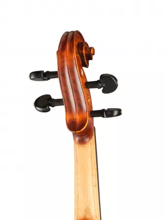 Professional Gama Unique Ash Скрипка 4/4, Gliga, PU-V044-OH