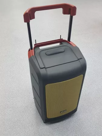WI08D-1 Комплект акустической системы, микшер, усилитель, радиомикрофоны 2шт, 65Вт, Soundking