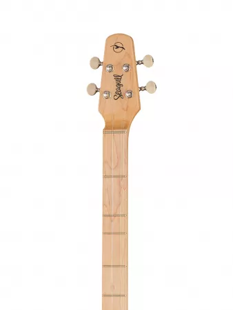 M4 Spruce EQ Дульцимер со звукоснимателем, Seagull, 042524