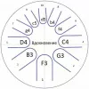 *Фимбо "Вдохновение", диаметр 27см, Фимбо, Вдохновение27