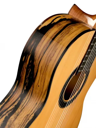 Classical Conservatory 6 White Ebony Классическая гитара, Alhambra, 8.891V