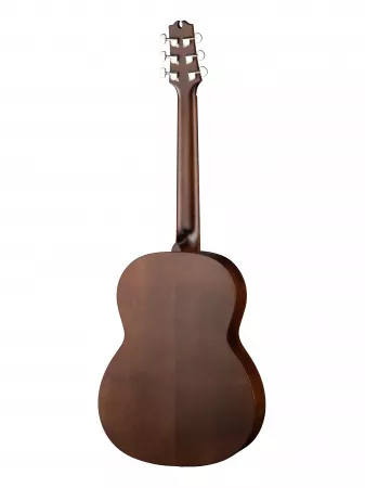 Акустическая гитара, NewTone, ROSMLDB