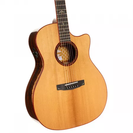 AT Gold Series Электро-акустическая гитара, с чехлом, Cort, Gold-A10-Cocobolo-WCASE-N