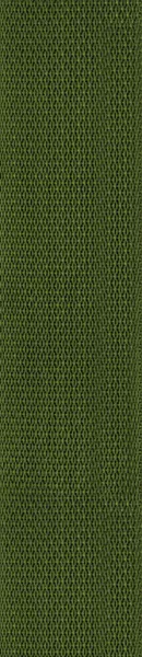 PWS107 Polypropylene Полипропиленовый ремень для гитары, зеленый, Planet Waves