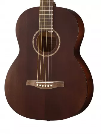Акустическая гитара, NewTone, N17OSMLDB
