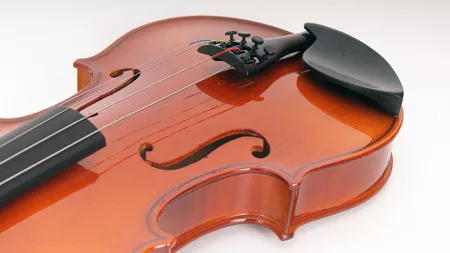 B16-3/4 Скрипка в футляре со смычком Strunal
