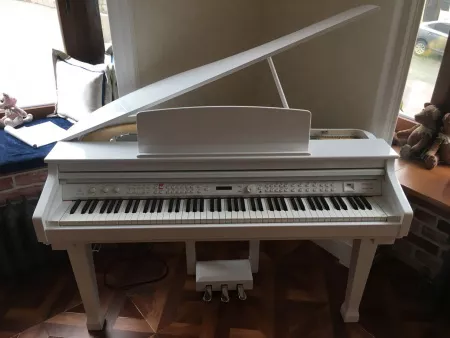 Цифровой рояль, с автоаккомпанементом, белый (2 коробки), Orla, Grand-120-WHITE