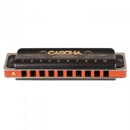 Professional Blues A Губная гармошка, Cascha, HH-2161