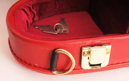 MZ-FVs-4/4-red/red Футляр для скрипки 4/4, MEZZO