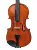 Workshop Gems 1 OPB Birds Eye Скрипка 4/4, Gliga, AW-V044-OB