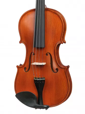 Workshop Gems 1 OPB Birds Eye Скрипка 4/4, Gliga, AW-V044-OB