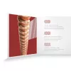 XS Комплект струн для акустической гитары, фосфорная бронза, 13-53, D'Addario, XSAPB1353