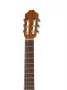 Soloist Series Классическая гитара 4/4, Kremona, Camellia