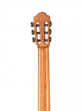 Классическая гитара, с футляром, Martinez, Torres-1859