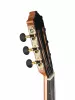 Flamenco Series Классическая гитара, Martinez, MFG-AS