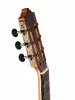 7/8 Standard Series Классическая гитара, Martinez, MC-58S-SEN