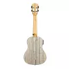 Bamboo Series Укулеле концертный со звукоснимателем, с чехлом, графит, Cascha, HH-2316E
