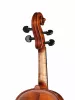 Professional Gama OPB Скрипка 4/4, Gliga, P-V044-O