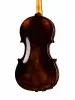 Antik Parma Скрипка концертная 4/4 Strunal, 205-4/4