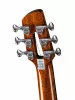 Акустическая гитара, с чехлом, Mollo Guitar, TM-12C