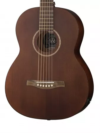 №17 Электро-акустическая гитара, NewTone, N17OSMLDBE