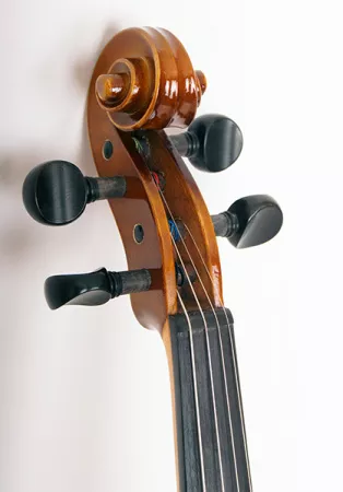 405-4/4 Скрипка, Strunal
