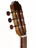 Performer Series Классическая гитара со звукоснимателем, Kremona, Verea-VA-w/bag
