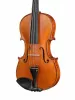 Professional Gama Скрипка 4/4, Gliga, P-V044