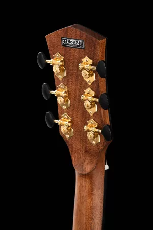 Gold Series Электро-акустическая гитара, цвет натуральный, с футляром, Cort, Gold-Edge-WCASE-NAT