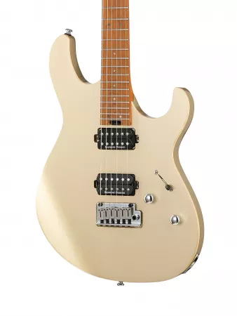 G Series Электрогитара, золотистая, Cort, G300-PRO-MGD