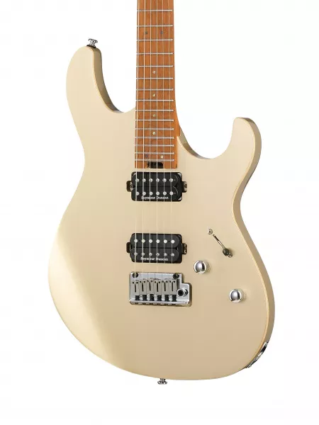 G Series Электрогитара, золотистая, Cort, G300-PRO-MGD  рис.2 