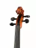Professional Gama Unique Ash Скрипка 4/4, Gliga, PU-V044-OH