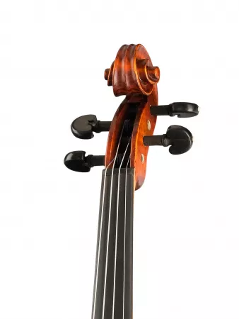 Professional Gama Unique Ash Скрипка 4/4, Gliga, PU-V044-OH