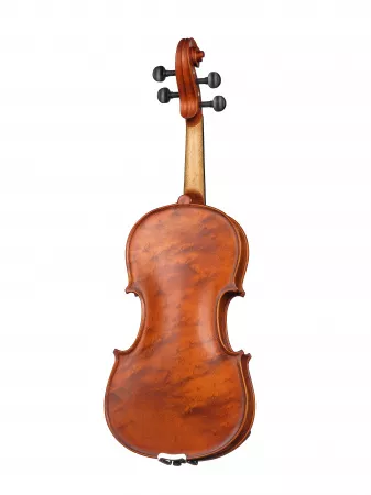 Workshop Gems 1 OPB Birds Eye Скрипка 4/4, Gliga, AW-V044-OB