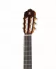Flamenco Conservatory 7FC Классическая гитара со звукоснимателем E8, с вырезом, Alhambra, 6.770
