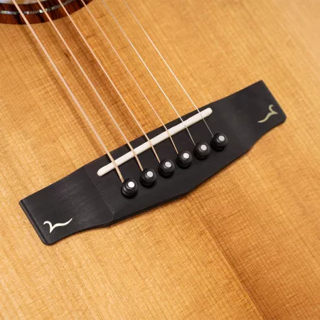AT Gold Series Электро-акустическая гитара, с чехлом, Cort, Gold-A10-Cocobolo-WCASE-N