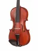 Intermediate Gems 2 Birds Eye Скрипка 4/4, Gliga, I-V044-B