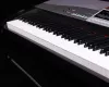 SP5100+stand Цифровое пианино, со стойкой, Medeli