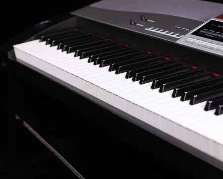 SP5100+stand Цифровое пианино, со стойкой, Medeli