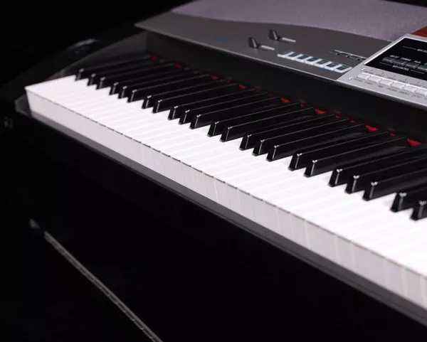 SP5100+stand Цифровое пианино, со стойкой, Medeli