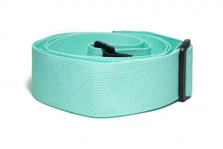 Ремень для гитары, нейлоновый, мята, Mamba straps, MB5011-113