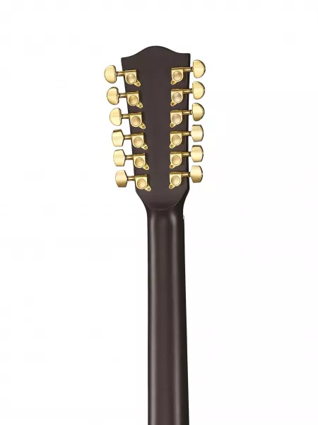 SG2 Сайлент-гитара 12-струнная, темно-коричневая, MIG Guitars, SG2SCH23  рис.2 