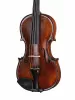 Professional Gama Special Скрипка 4/4, Gliga, P-V044-F
