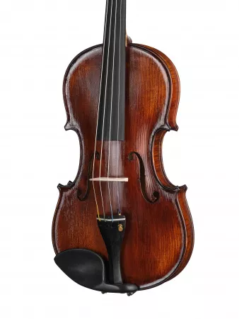 Professional Gama Special Скрипка 4/4, Gliga, P-V044-F