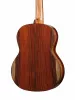 Artist Series Solea Классическая гитара, Kremona, SOLEA-SA-C-w/case