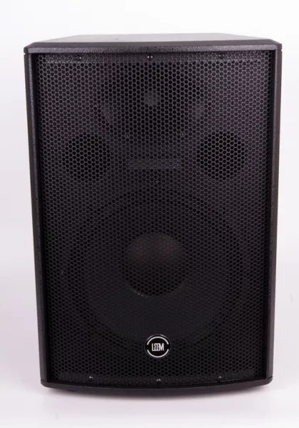 WX-12   Акустическая система 250/500/1000Вт Leem