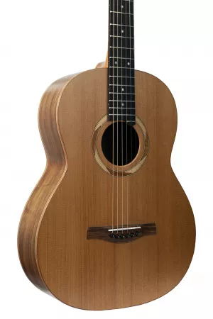 N17GAASNRW №17 Акустическая гитара, NewTone
