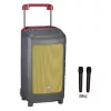 WI08D-1 Комплект акустической системы, микшер, усилитель, микрофоны, Soundking