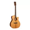 AT Gold Series Электро-акустическая гитара, с чехлом, Cort, Gold-A10-Cocobolo-WCASE-N