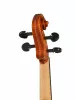 Professional Gama Unique Willow Скрипка 4/4, Gliga, PU-V044-GI